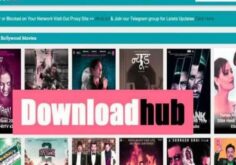 downloadhub illegal movies hd download website 60745a0addc22 1618237962